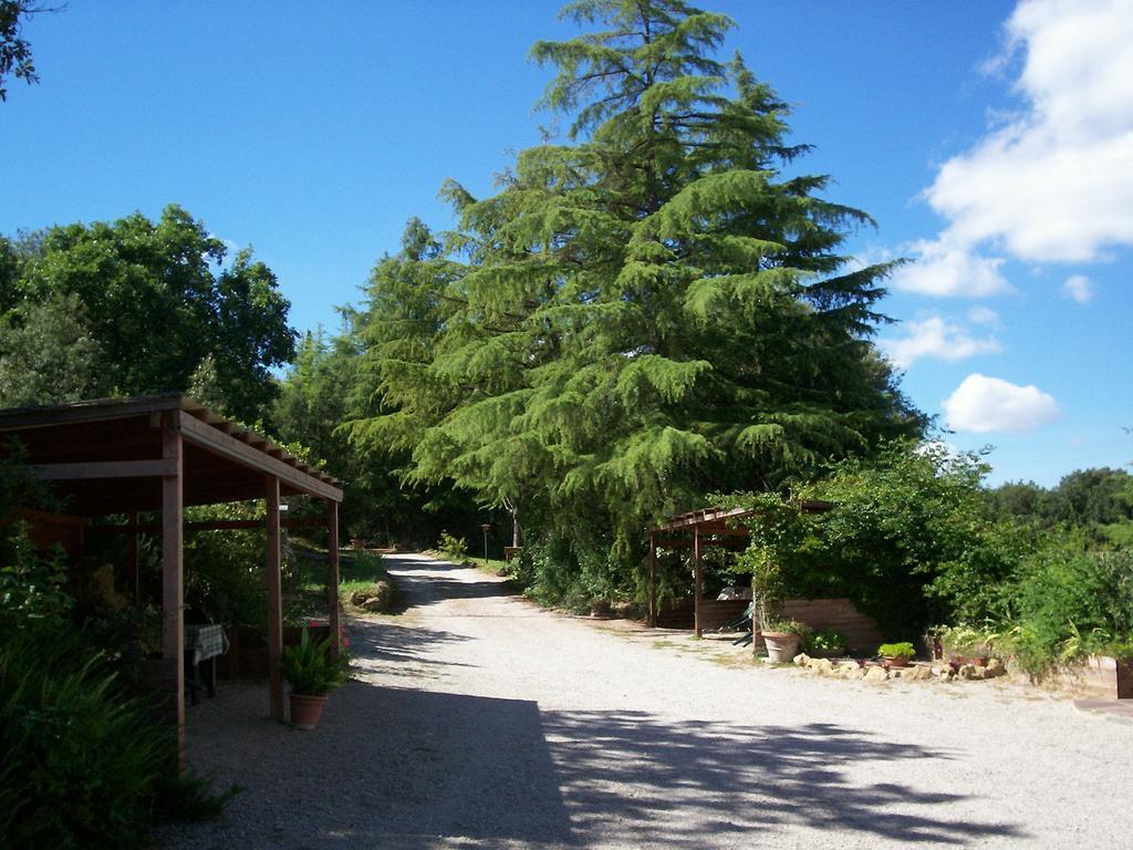 Podere Il Caggio Rooms San Gimignano Exterior foto